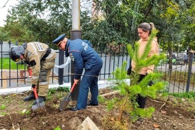 Хвойная аллея появилась в  Хабаровске Предоставлено пресс-службой ГУ МЧС России по Хабаровскому краю